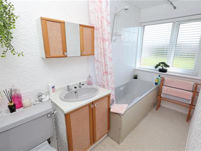 Picture 14